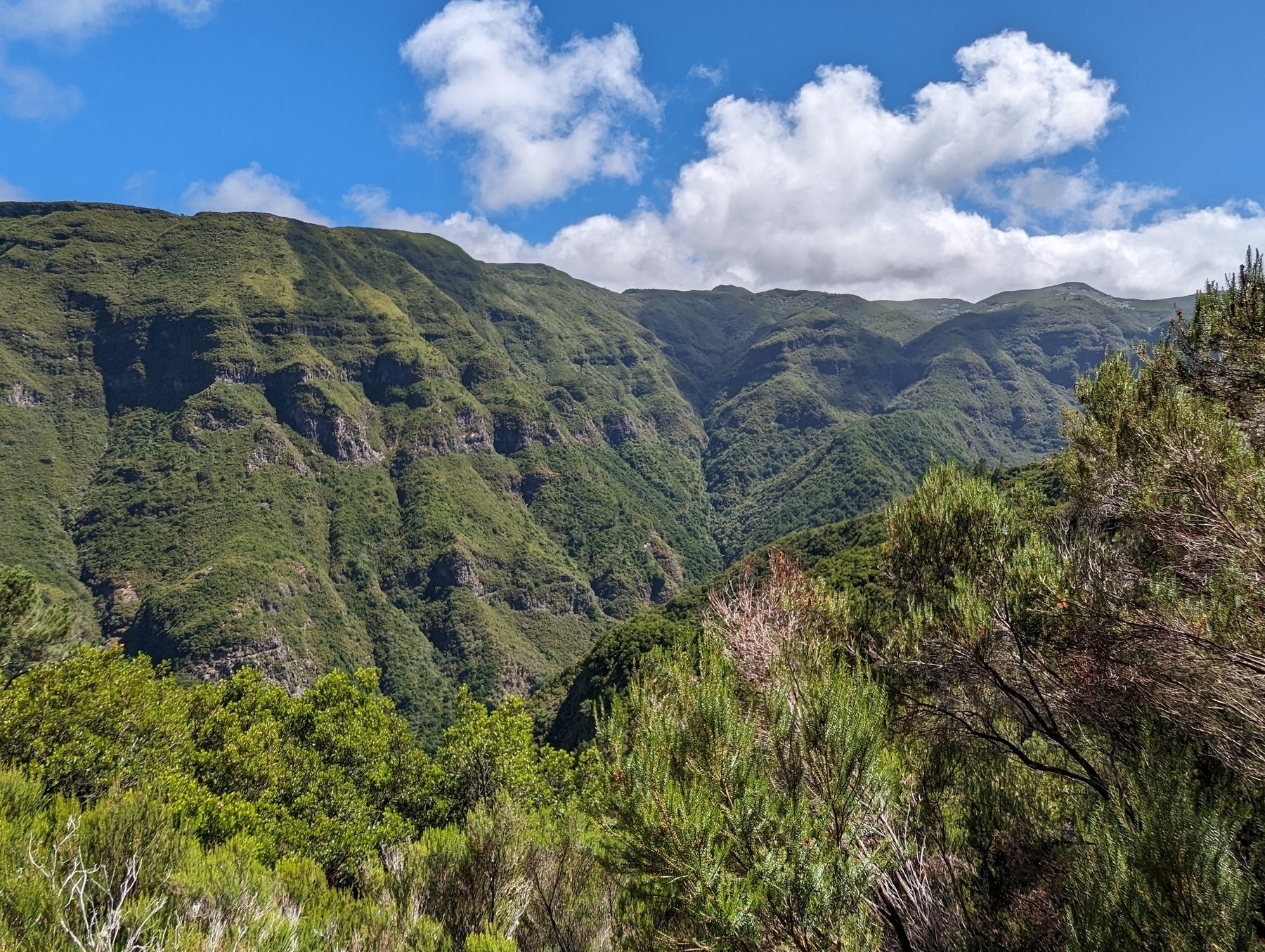 Madeira mountain panorama