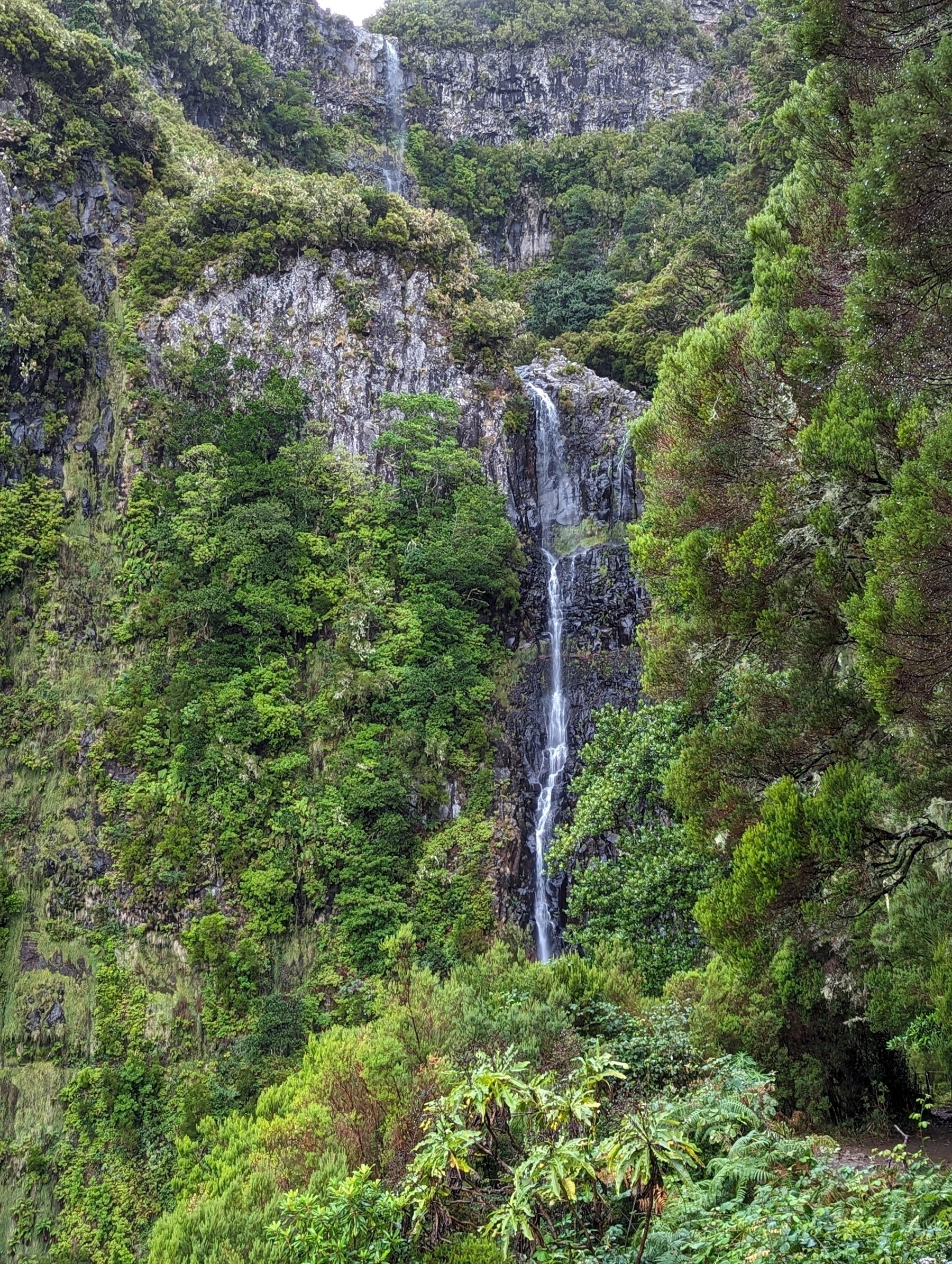 Risco-Wasserfall, Madeira 