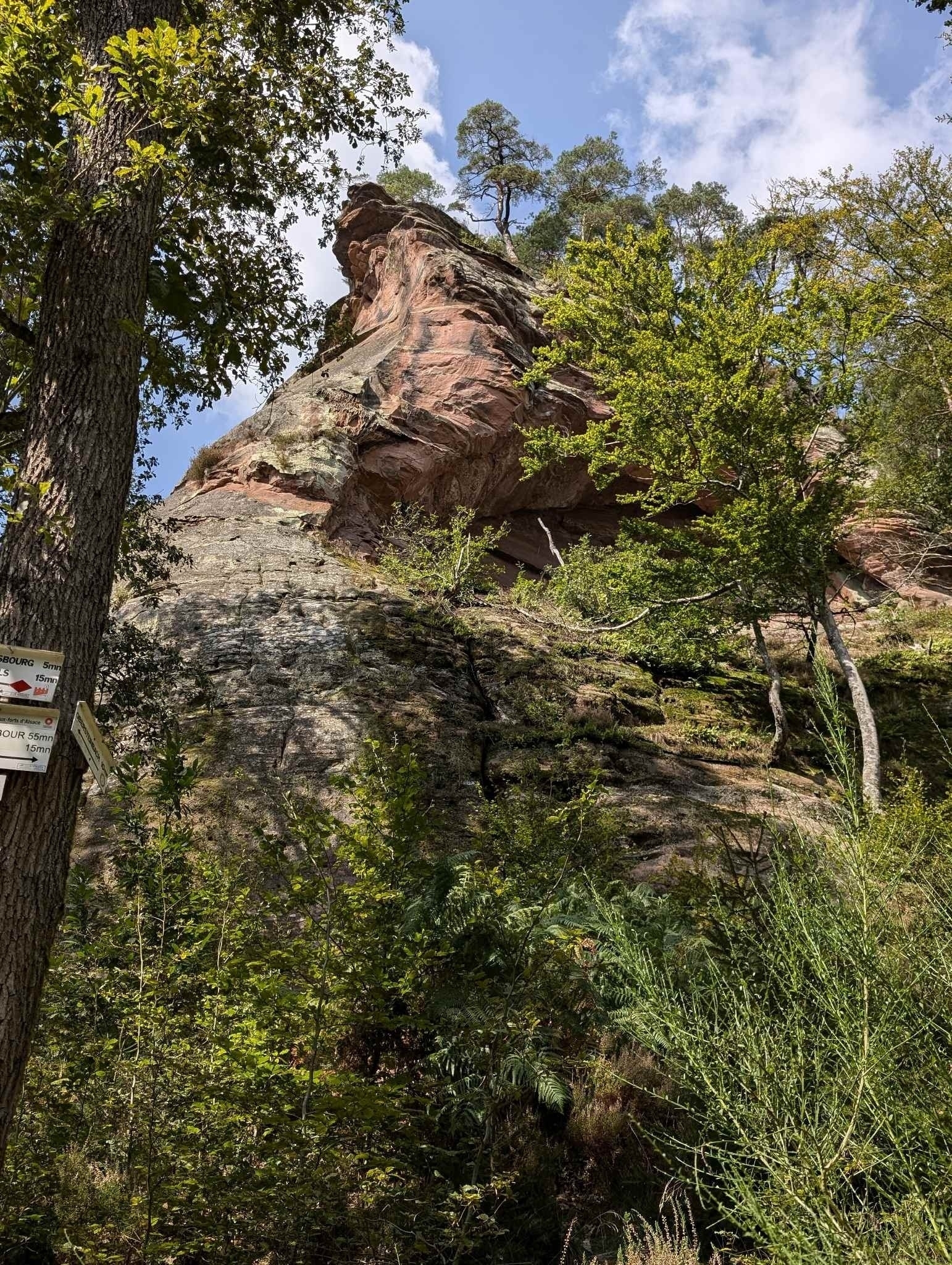 Wolfsfelsen