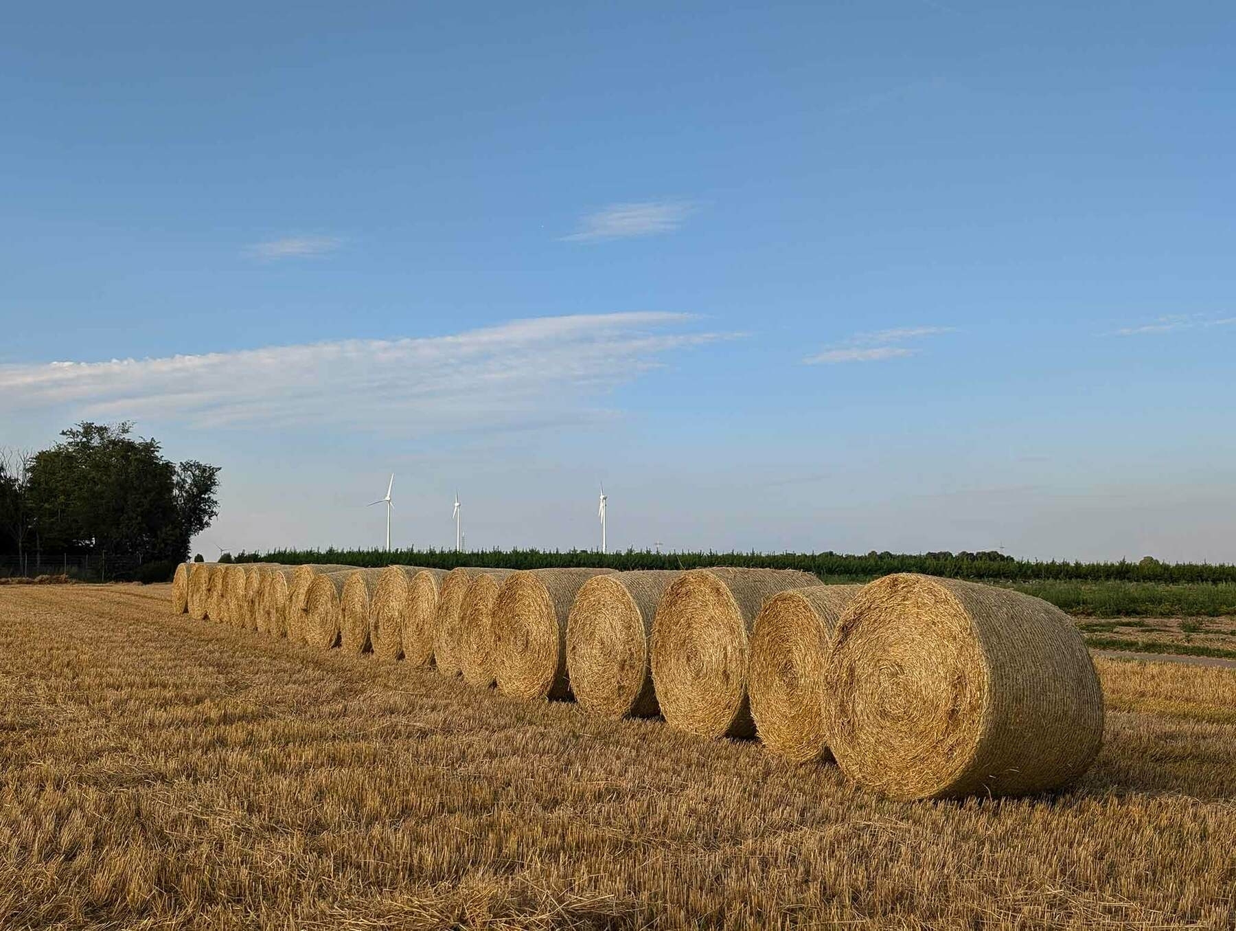 Strohballen auf dem Feld