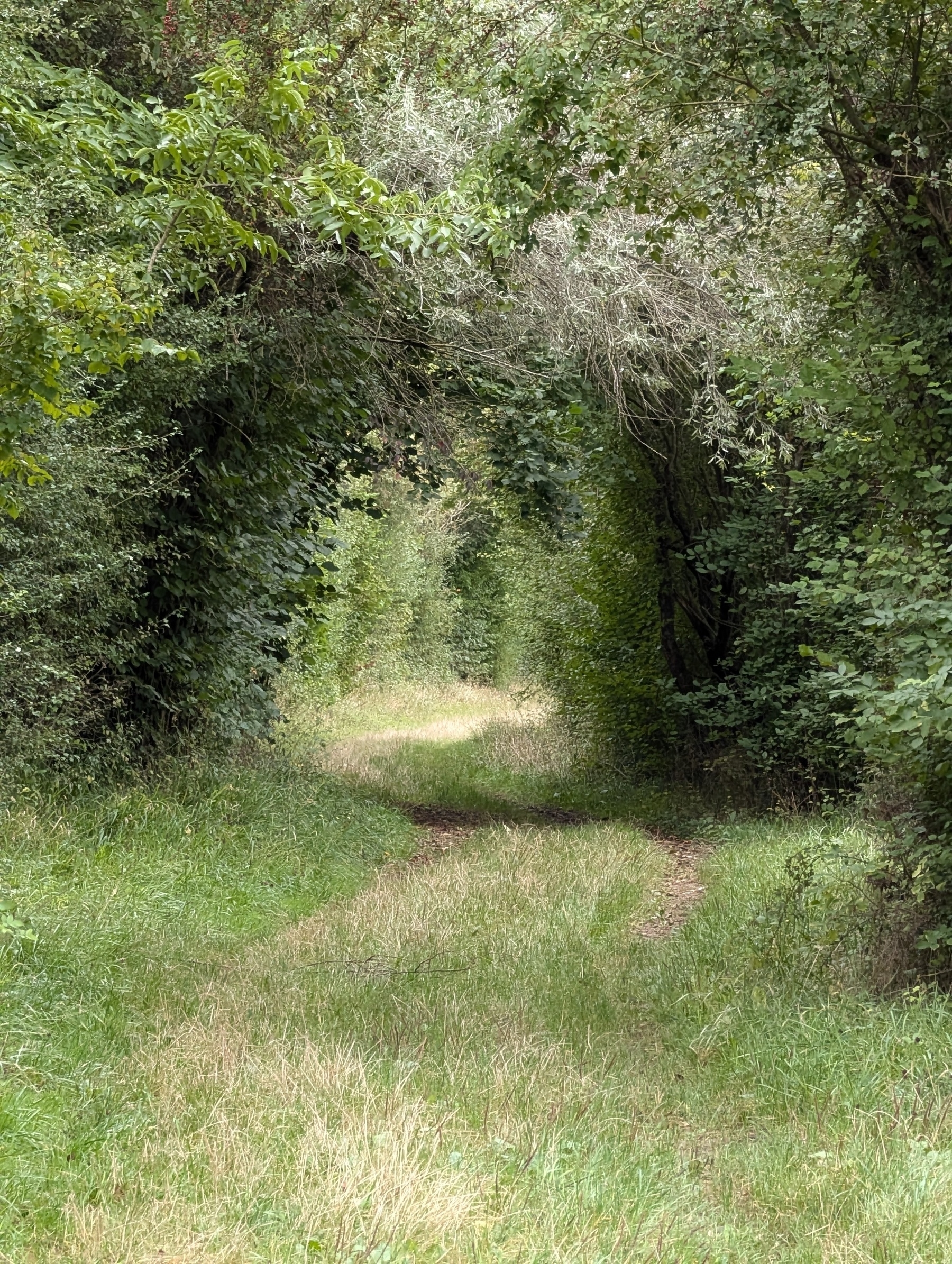 Geologischer Lehrpfad von Bouxwiller zum Bastberg.