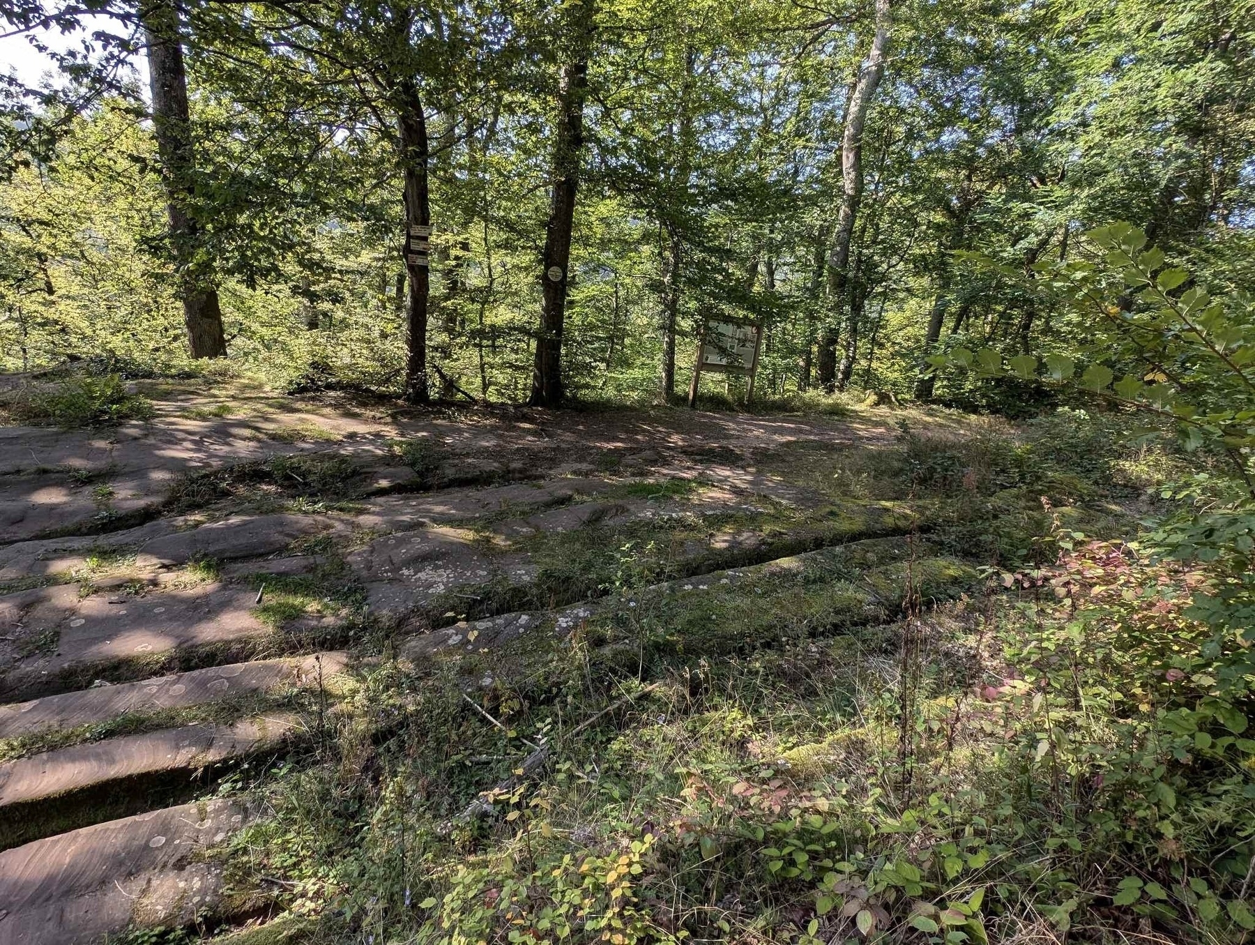 Reifenspuren aus der Römerzeit bei Saverne 