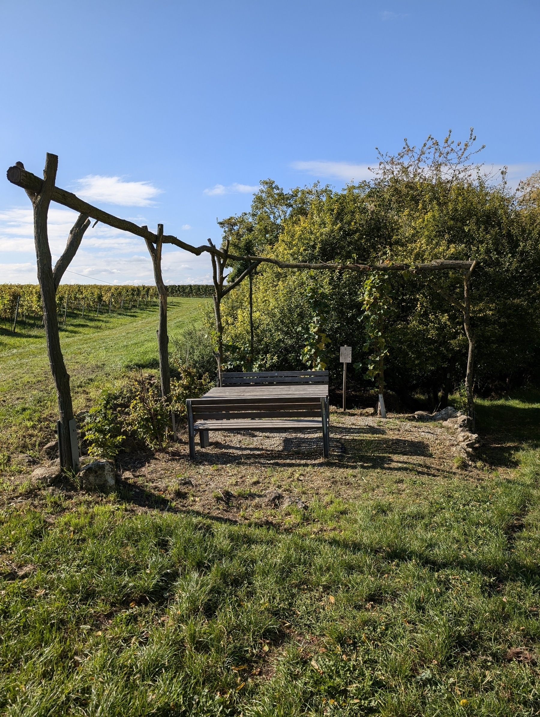 Rastplatz am Wanderweg Stadecker Warte 