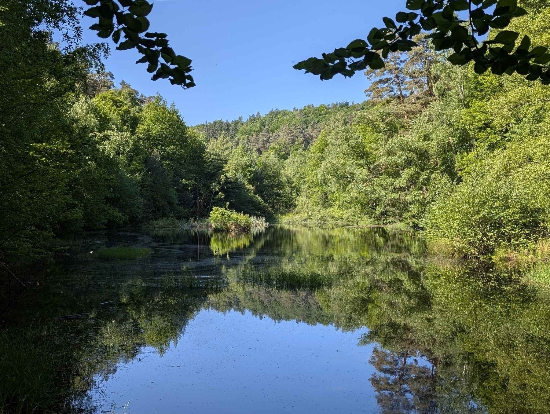 Ungerheuersee