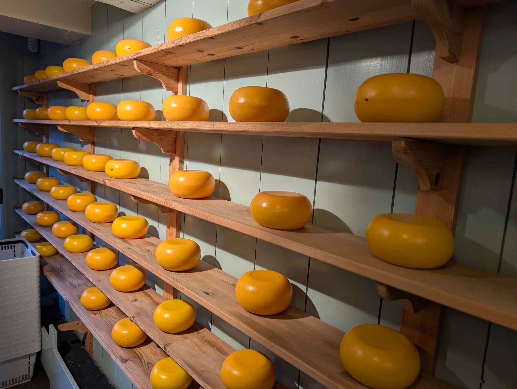 Käseladen in Amsterdam