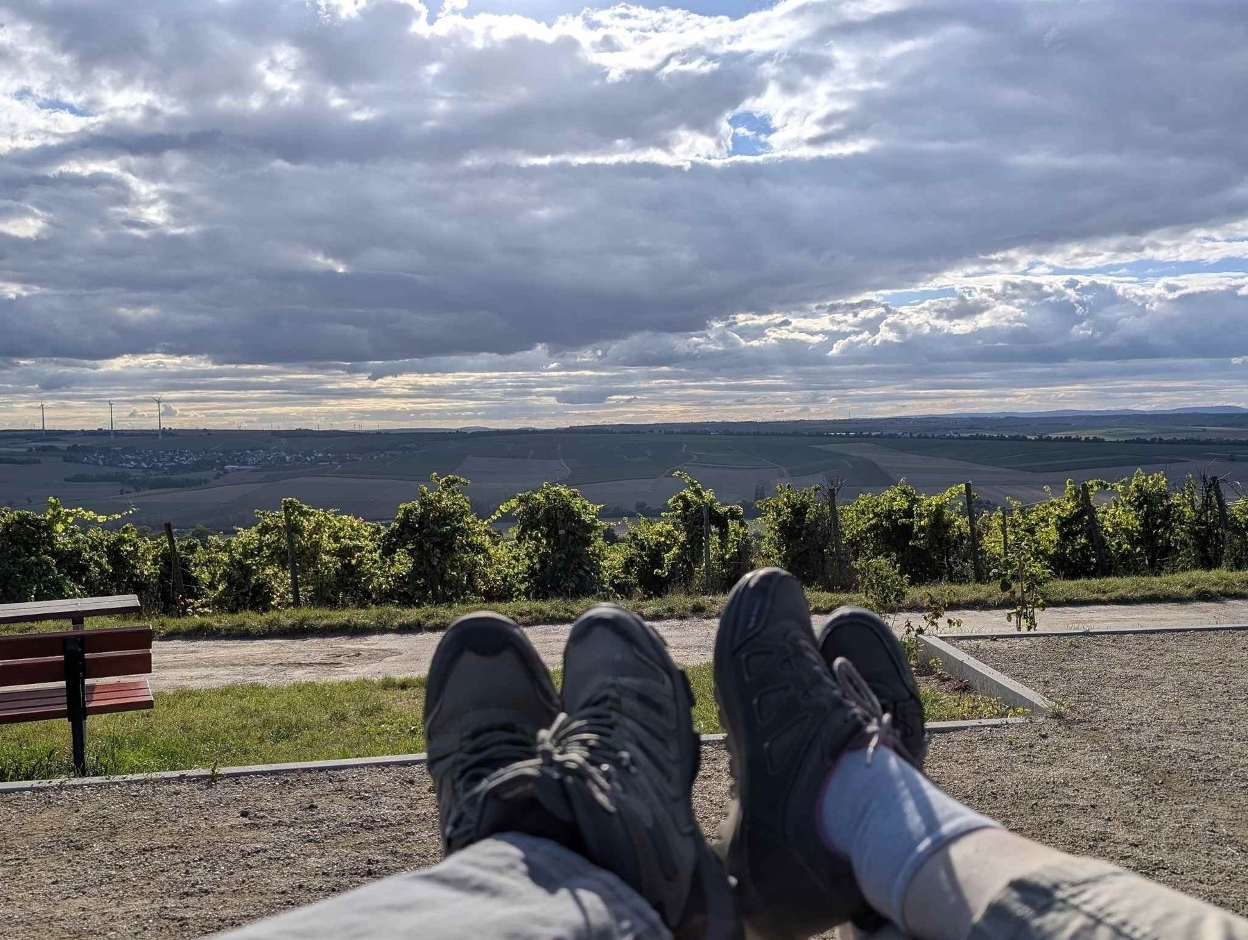 Abendsonne in Rheinhessen