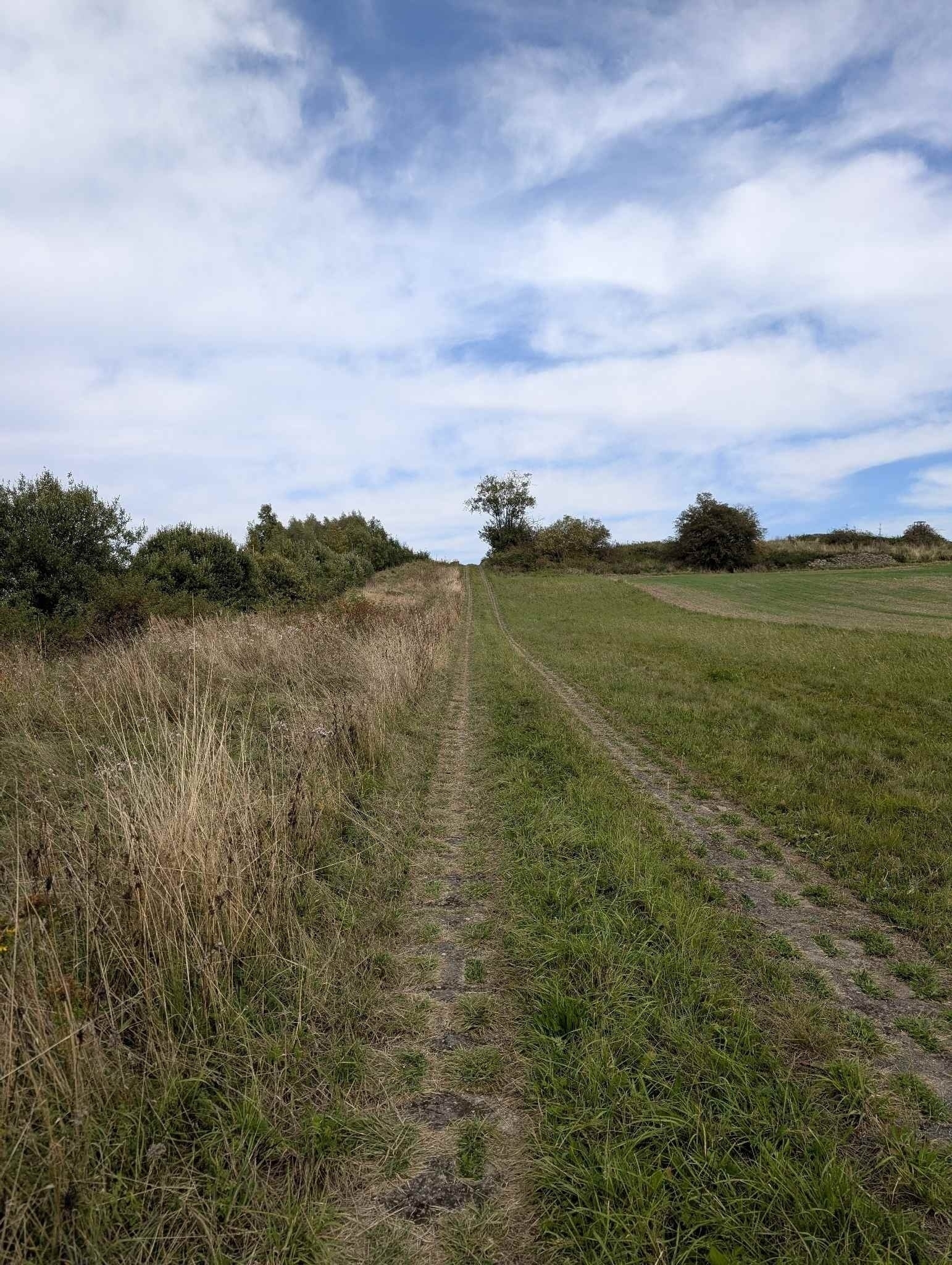 Kolonnenweg im Dreiländereck 