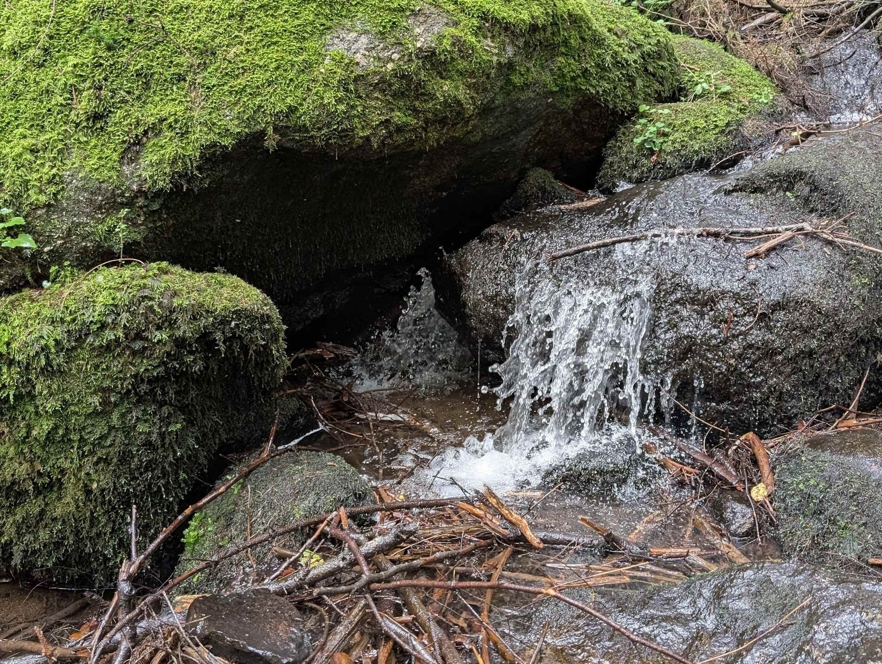 Bayrischer Wald, Naturschutzgebiet Hölle