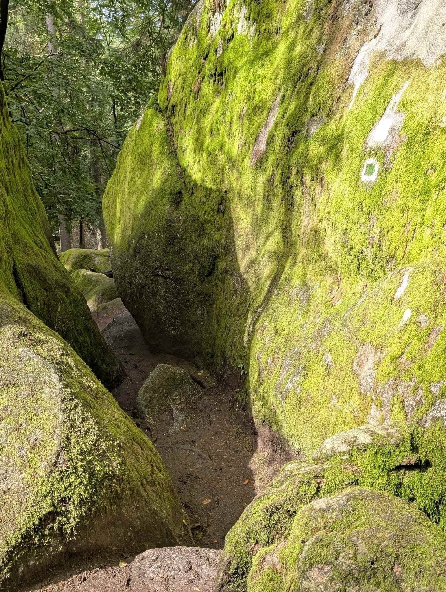 Bayrischer Wald, Naturschutzgebiet Hölle