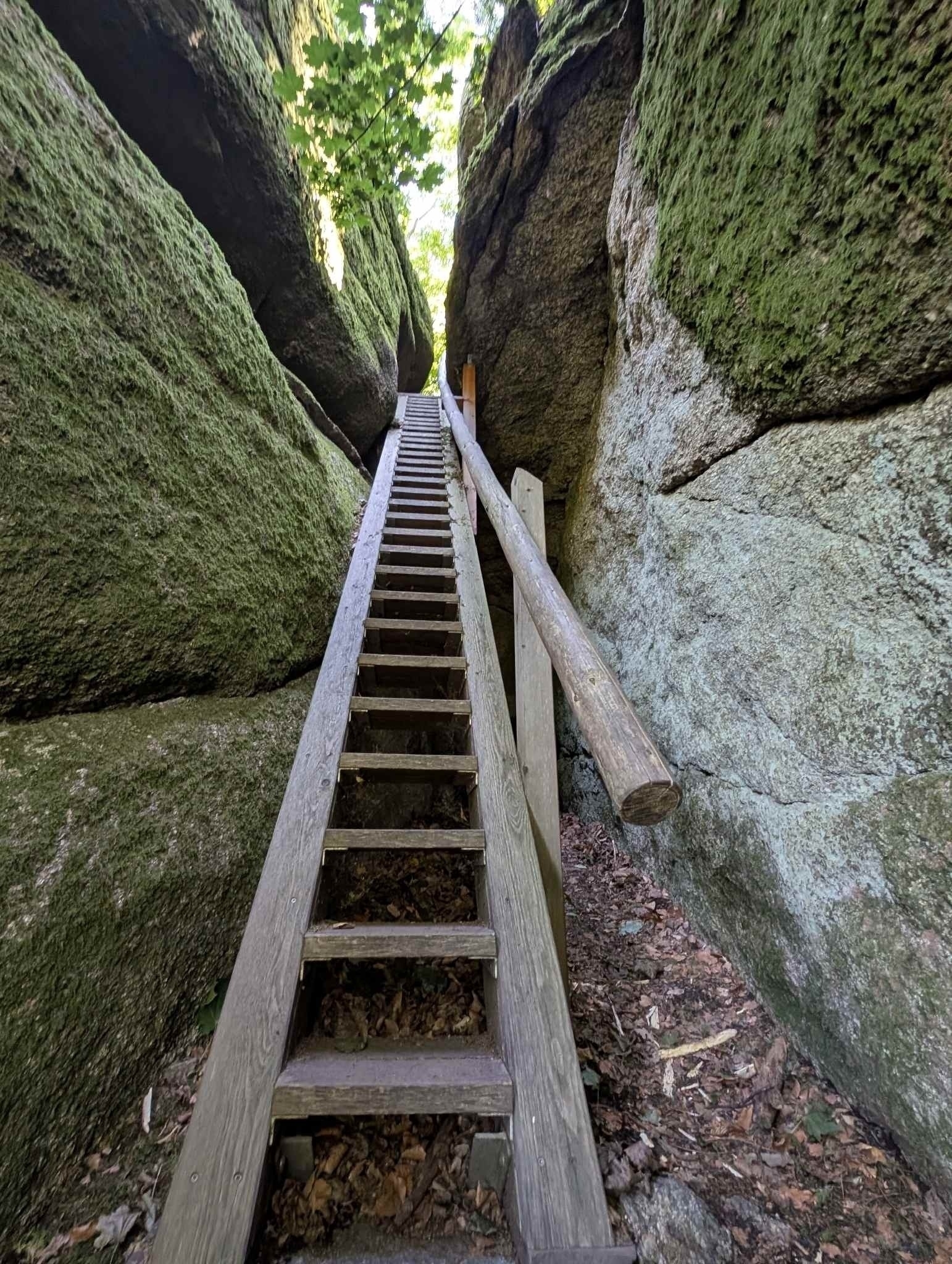 Klettersteige im Schlosspark Burg Falkenstein 
