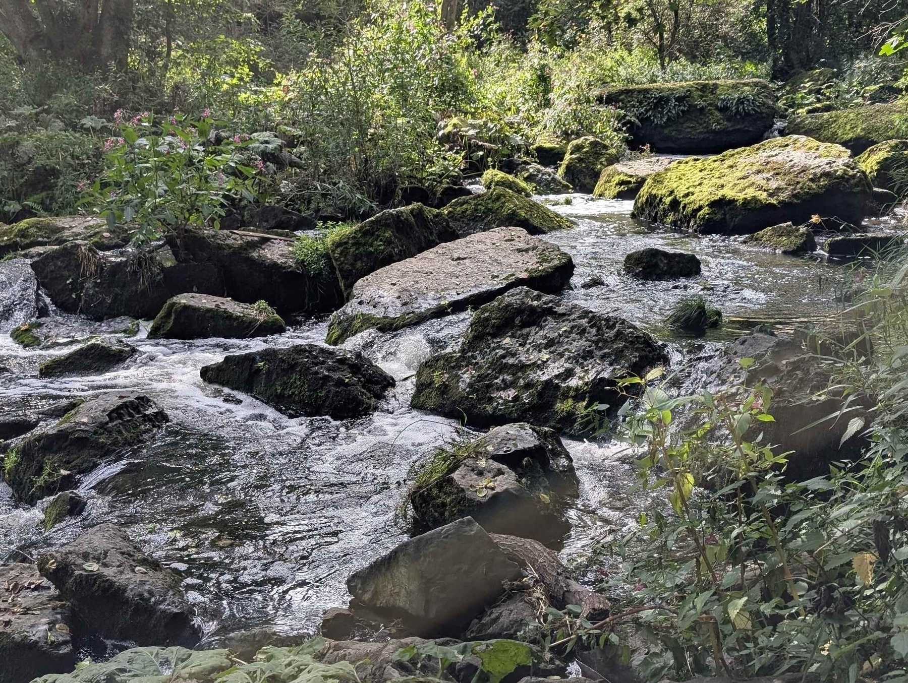 Bayrischer Wald, Naturschutzgebiet Hölle