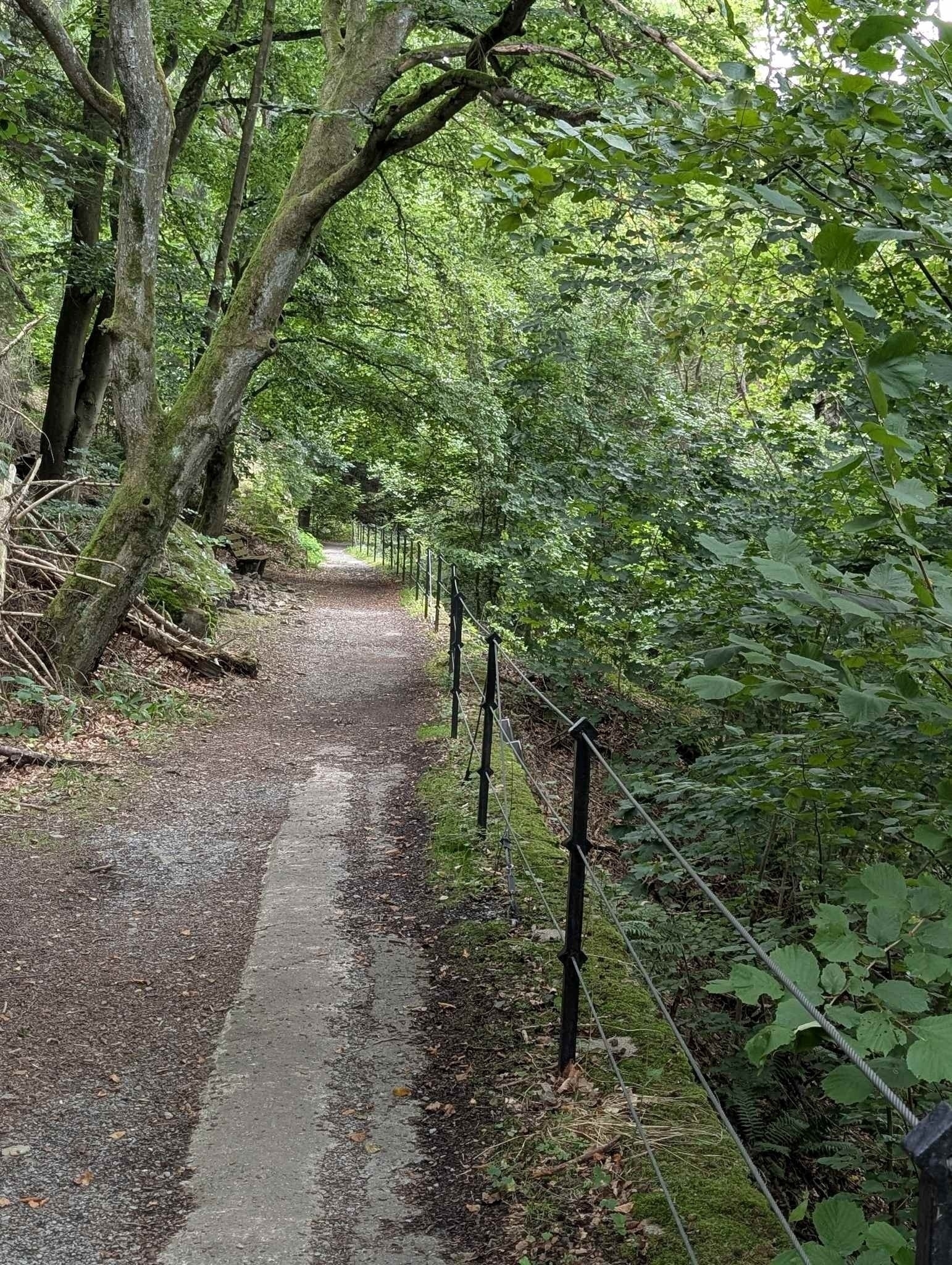 Höllental Röhrenweg