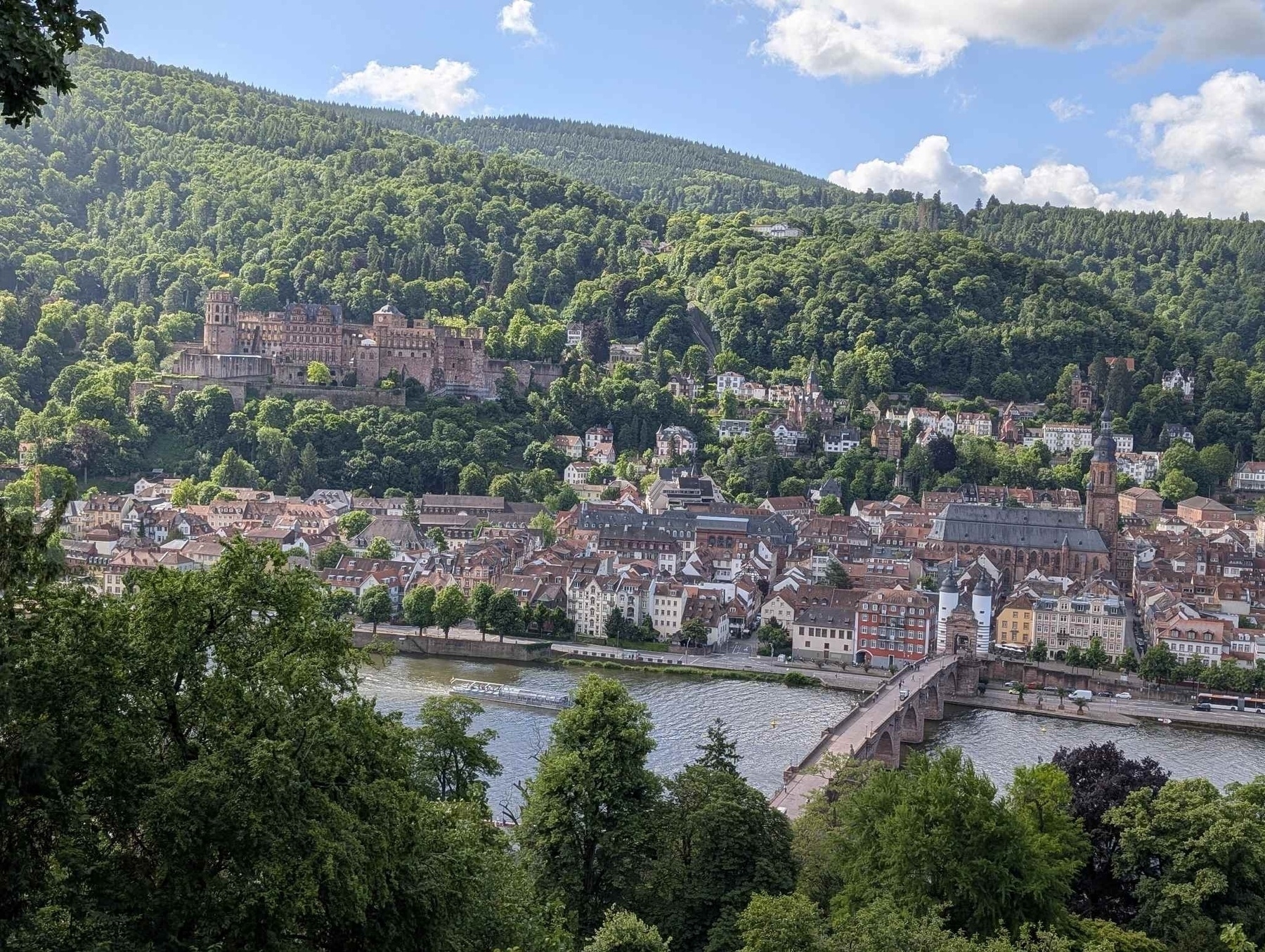 Blick über Heidelberg 