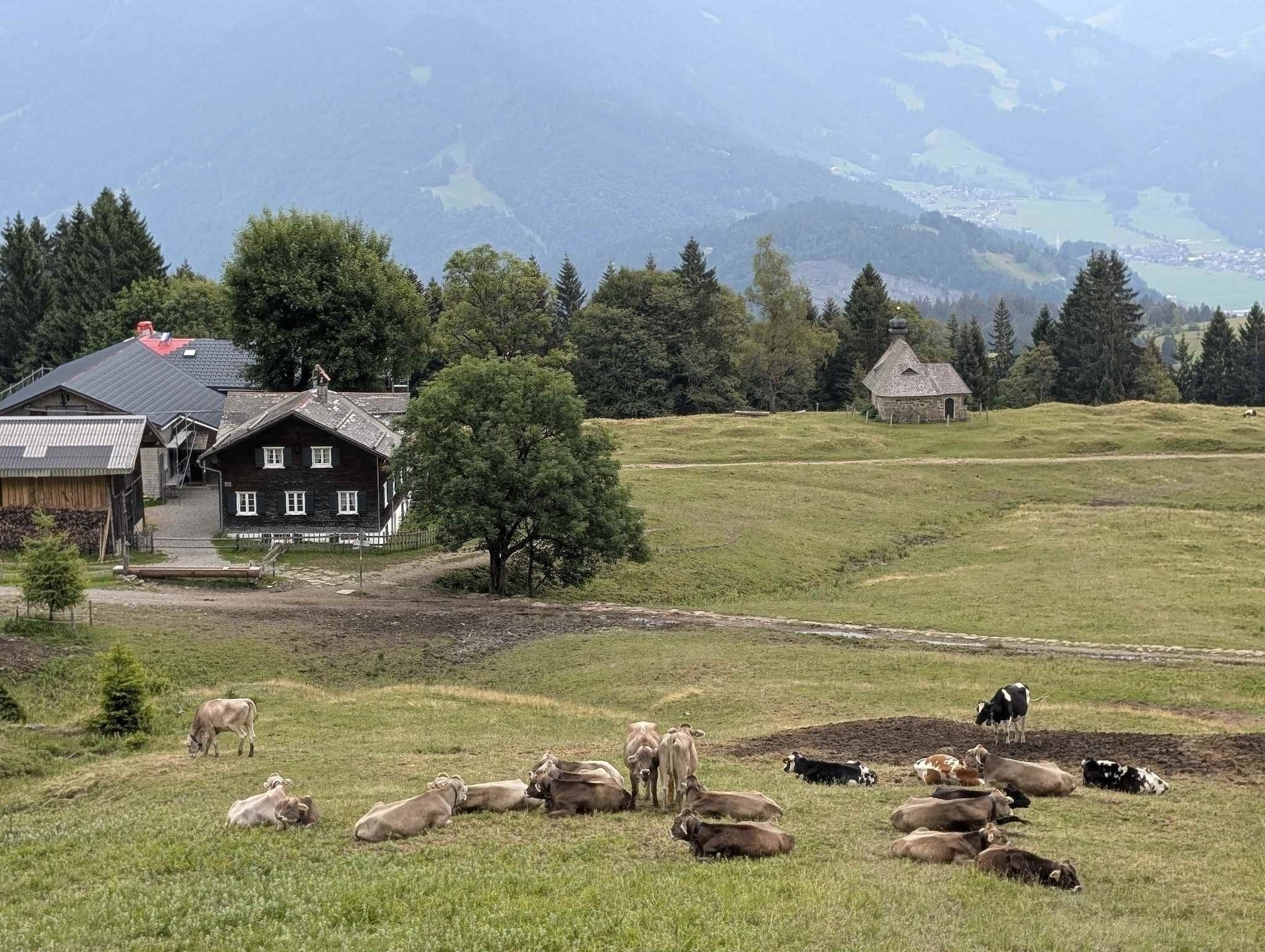 Hochälplealpe