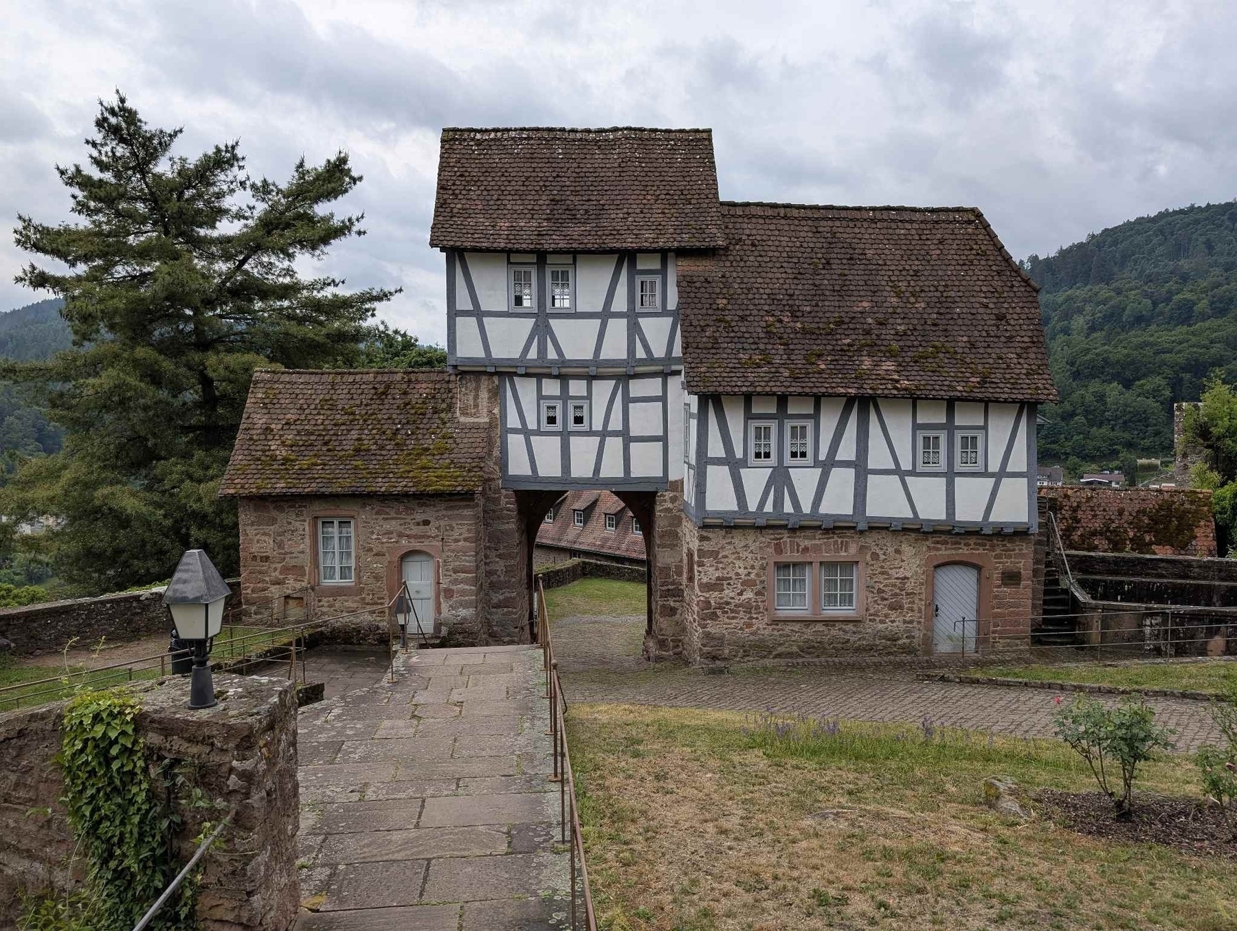 Burg in Hirschhorn am Neckar 
