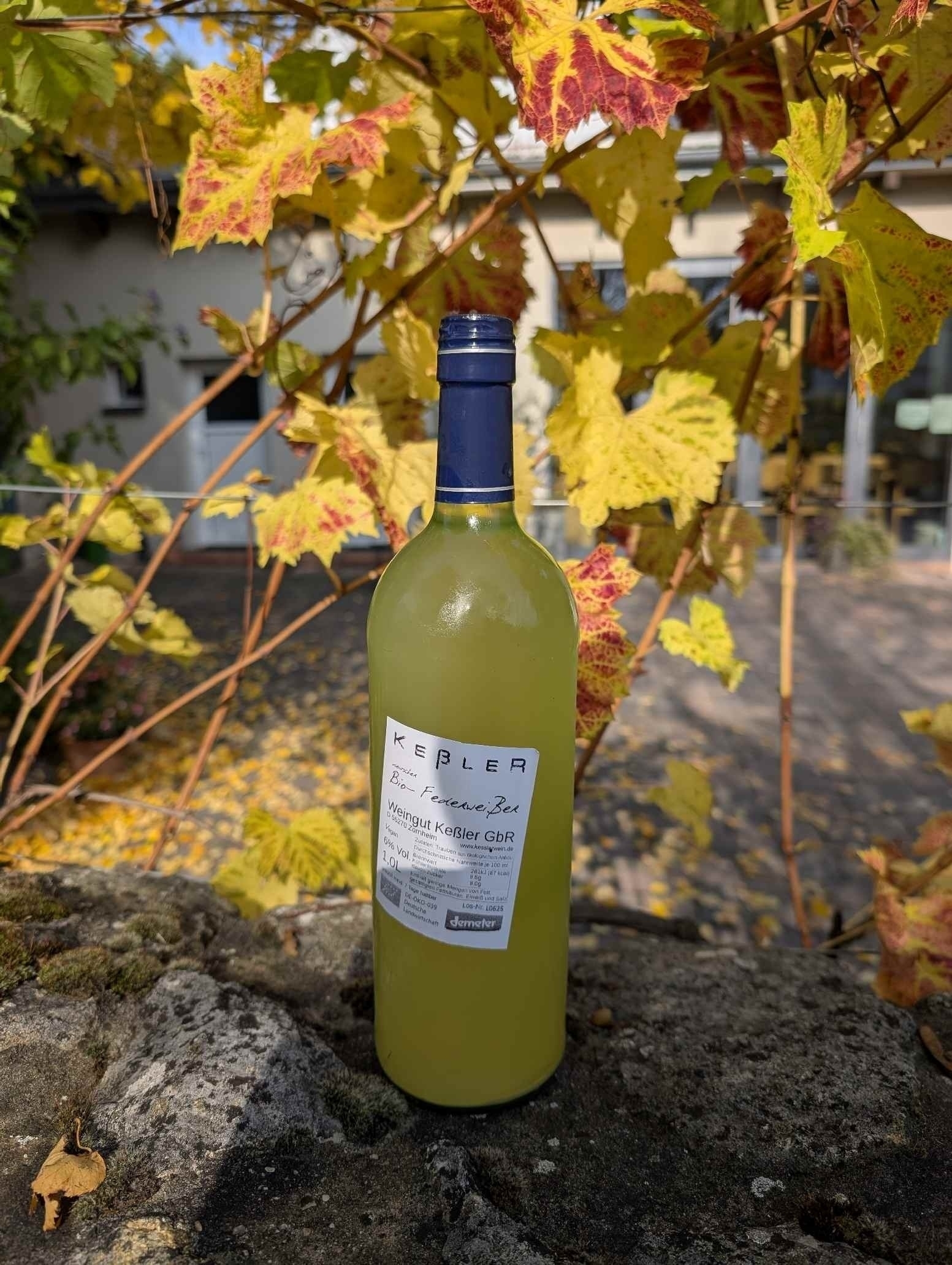 Federweißer aus Rheinhessen