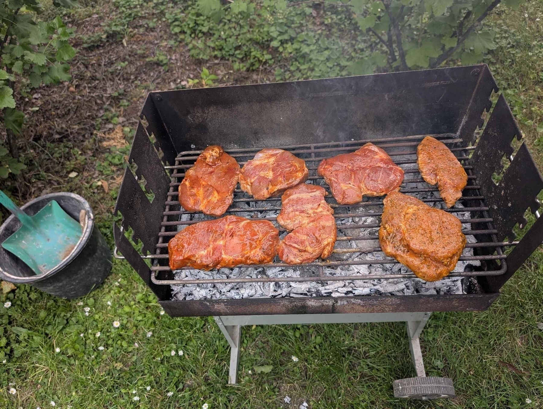 Grill mit Steaks&10;