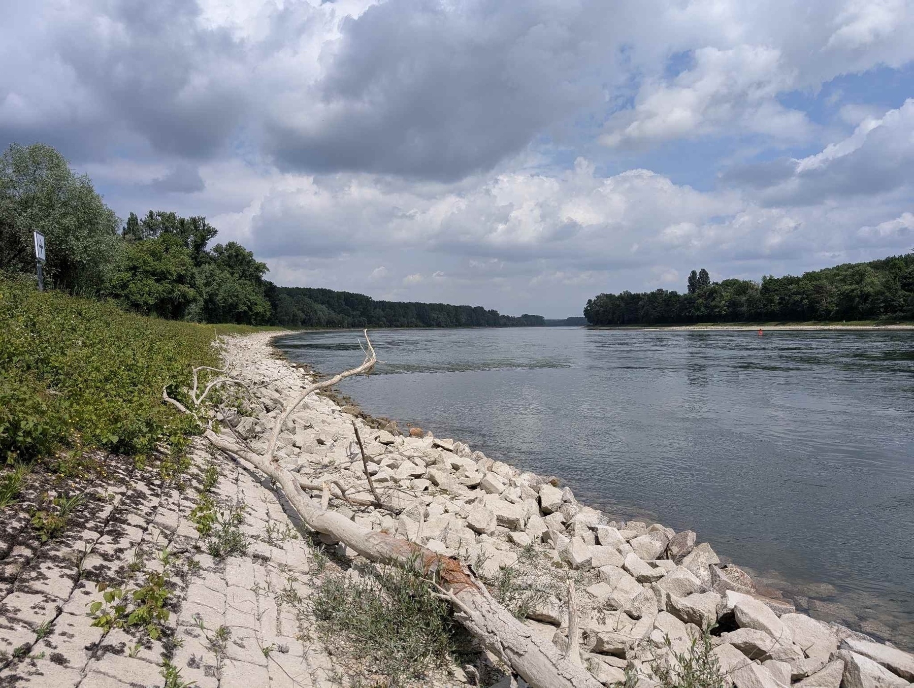 Treidelweg bei Hördt