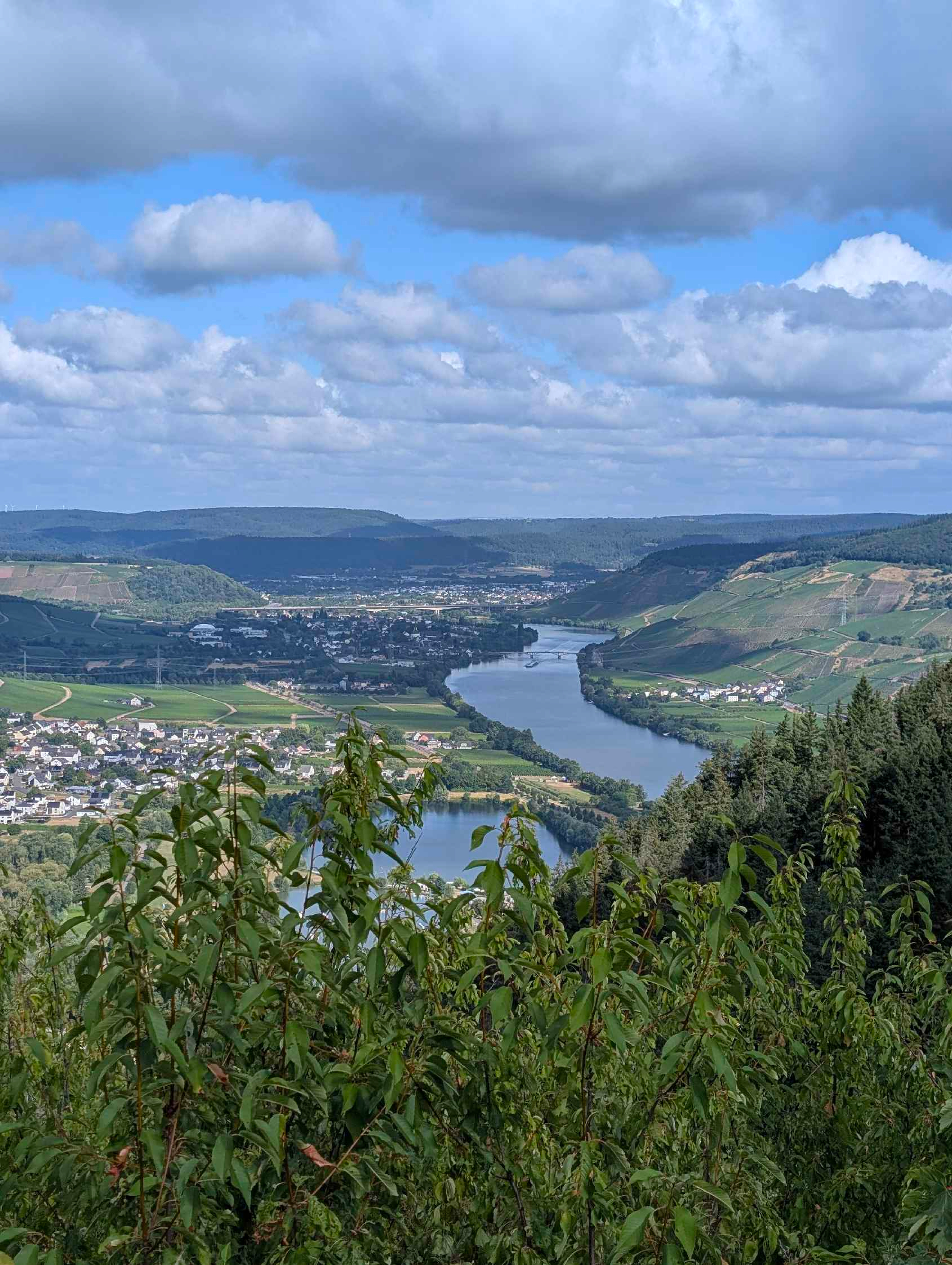 Blick auf die Mosel Mehringer Höhe