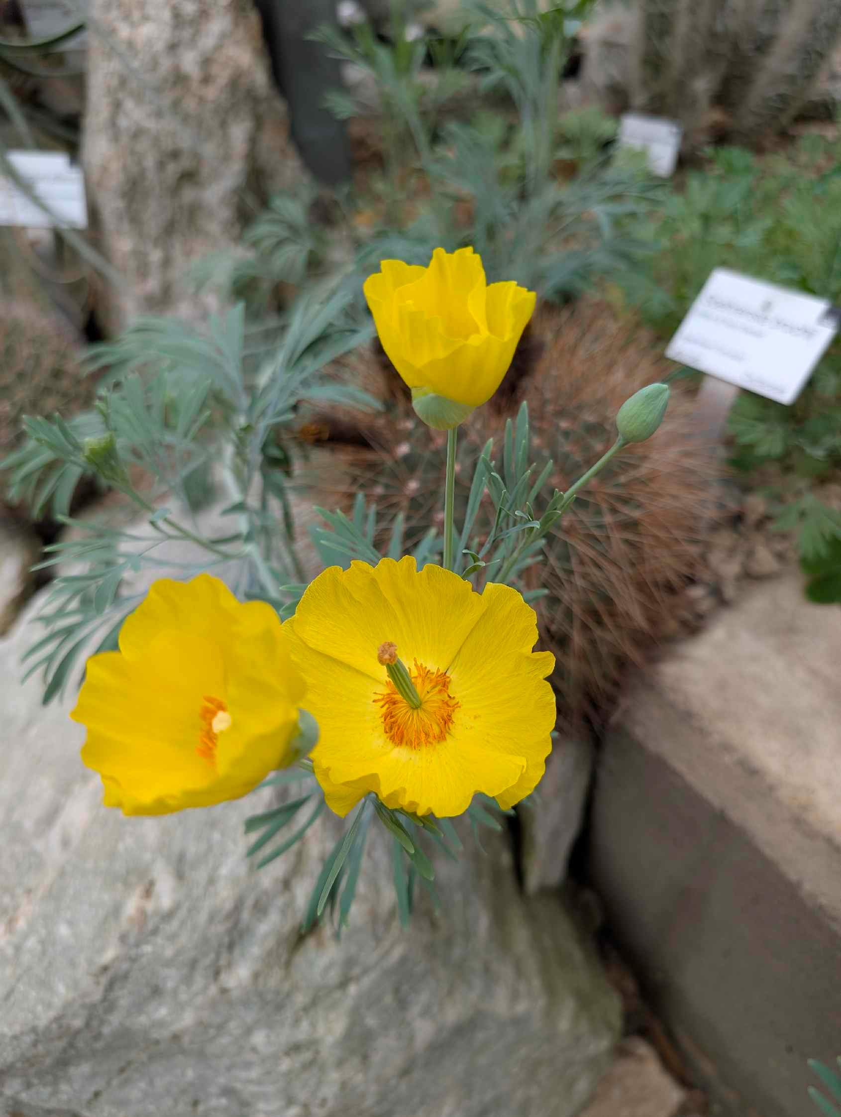 Botanischer Garten in Bochum