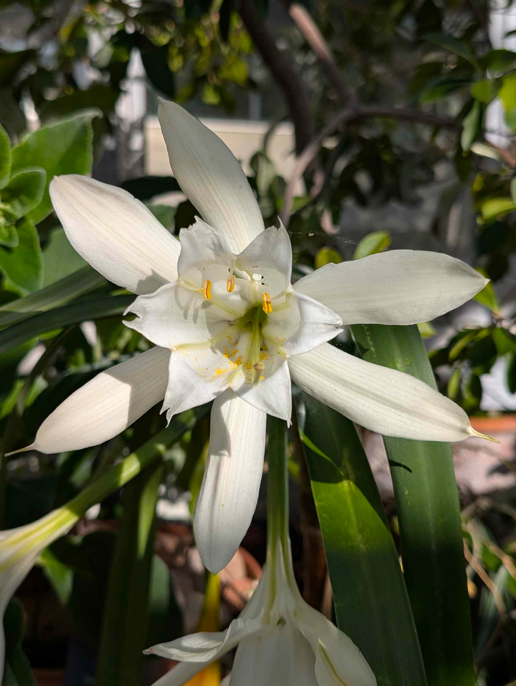 Botanischer Garten in Basel