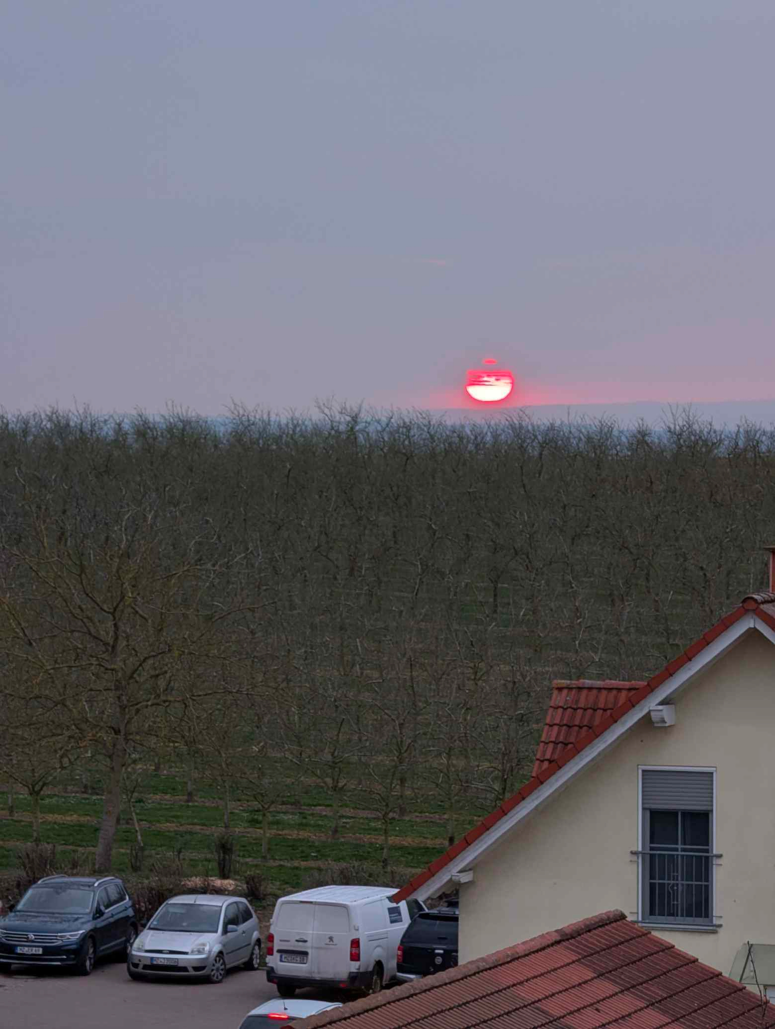 Sonnenuntergang in Rheinhessen