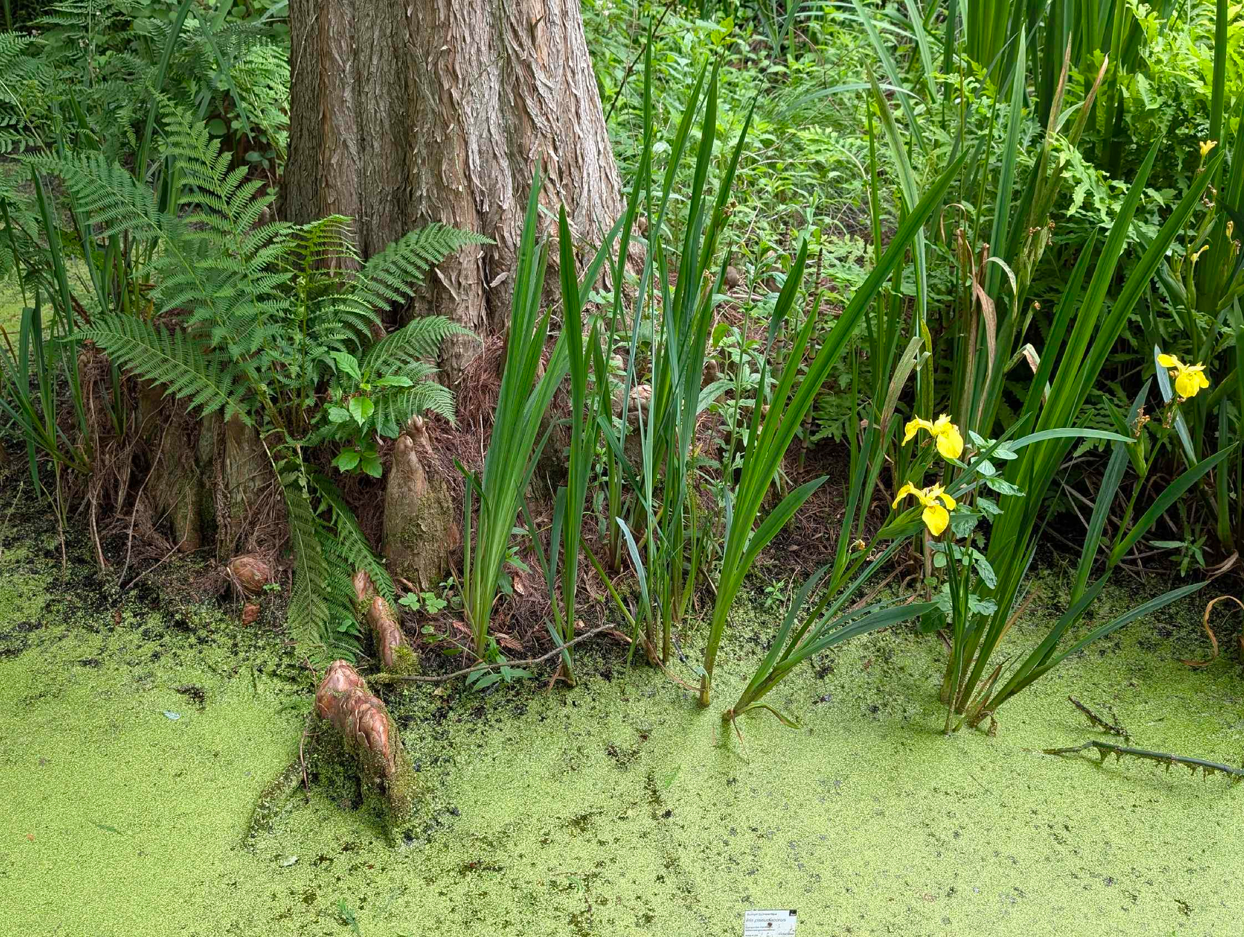 Botanischer Garten in Bochum